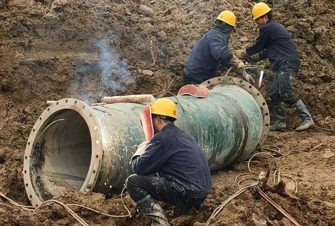 1689303853735095.jpg 1689303853735095.jpg